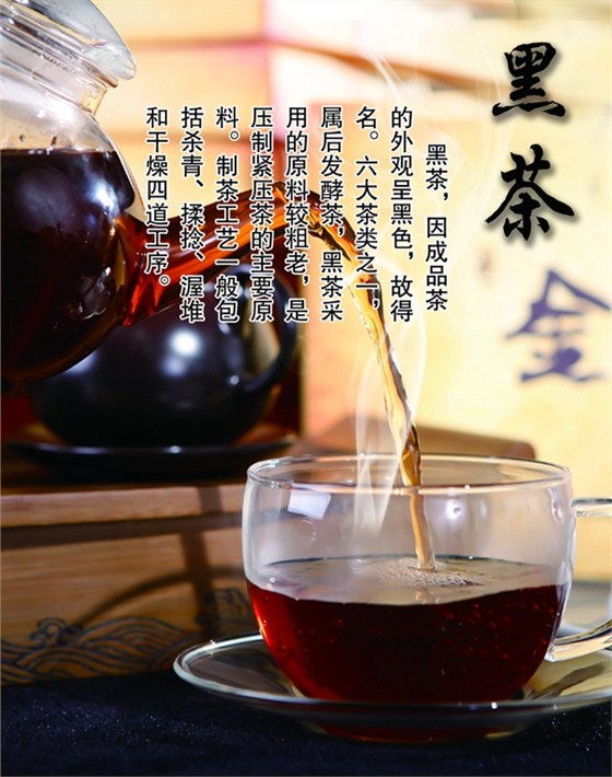 什么是黑茶？黑茶分類全解